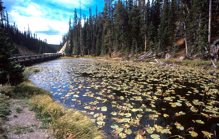 continental divide, Yellowstone National Park