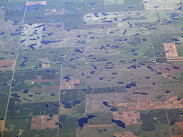 Prairie Pothole