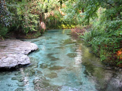 Rock Creek Spring