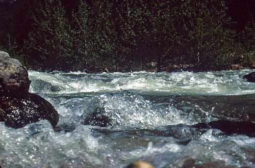 Avalanche Creek