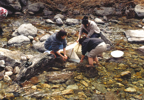 Kapyong Creek, Korea