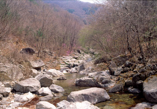 kapyong creek