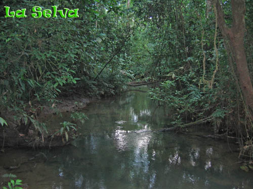  La Selva Costa Rica