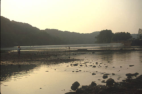 Mussel bed at Devola, Muskingum River