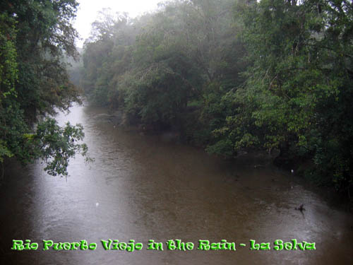 Rio Puerto Viejo, La Selva Costa Rica