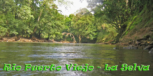 Rio Puerto Viejo, La Selva Costa Rica