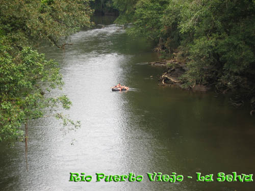 Rio Puerto Viejo, La Selva Costa Rica