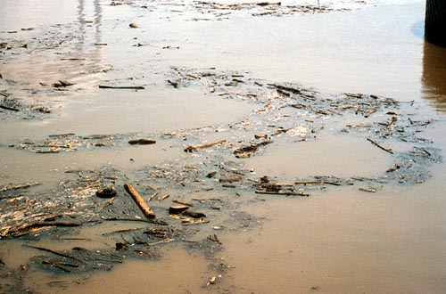 Debris on the Ohio River