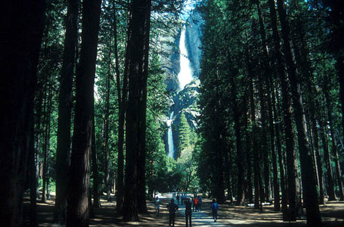 Yosemite Falls, Yosemite National Park, California