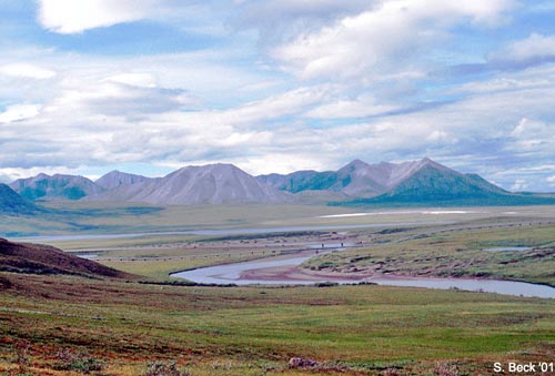 Arctic Tundra and Alaska Pipeline - Alaska