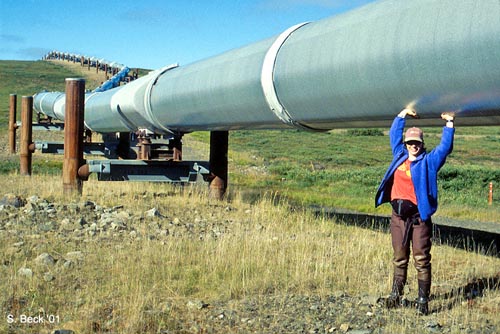 Arctic Tundra and Alaska Pipeline - Alaska