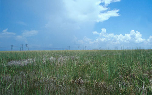 Everglades Buffer Zone