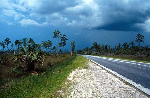 Approaching Storm  - Everglades National Park