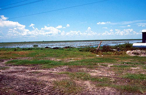 Burned Sugar Cane Fields, Everglades Agricultural Area, near Lake Okeechobee 