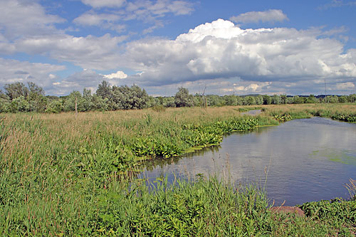 Killbuck Marsh, Ohio 