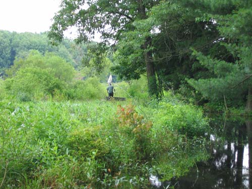 Singer Lake Bog, Ohio