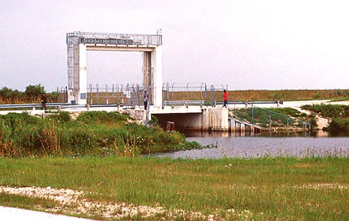 Water Structure - Florida Everglades